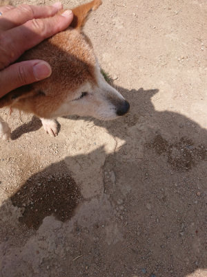 f:id:roukenhome-ann:20190512154034j:plain