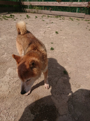 f:id:roukenhome-ann:20190512154054j:plain