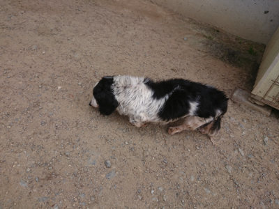 f:id:roukenhome-ann:20190512154058j:plain