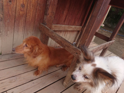 f:id:roukenhome-ann:20190512173309j:plain