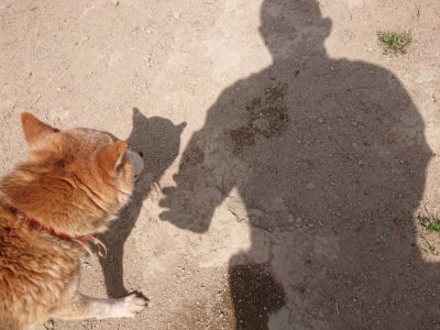 f:id:roukenhome-ann:20190512173314j:plain