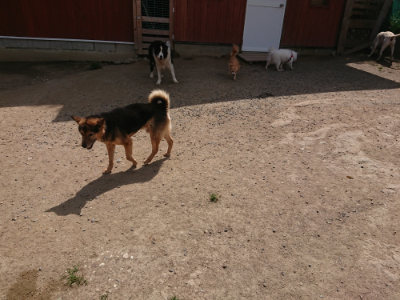 f:id:roukenhome-ann:20190512173320j:plain