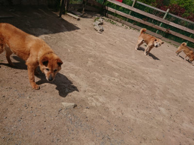 f:id:roukenhome-ann:20190512173400j:plain