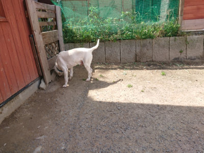 f:id:roukenhome-ann:20190512173419j:plain