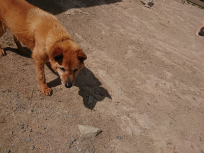 f:id:roukenhome-ann:20190512173442j:plain