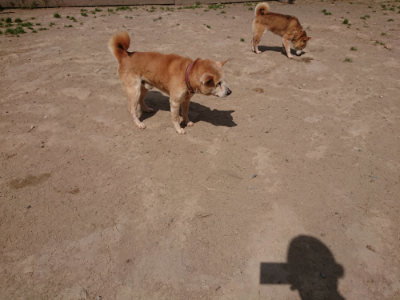 f:id:roukenhome-ann:20190512173448j:plain