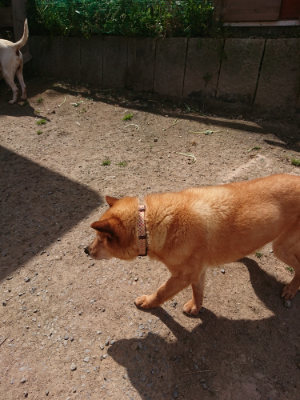 f:id:roukenhome-ann:20190512173501j:plain