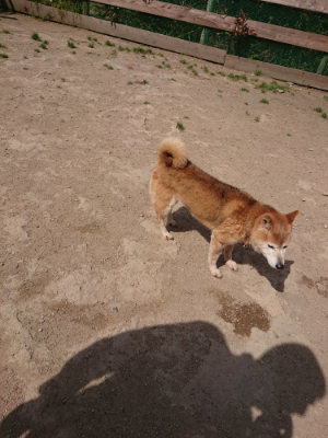 f:id:roukenhome-ann:20190512173508j:plain