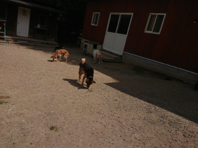 f:id:roukenhome-ann:20190512173525j:plain