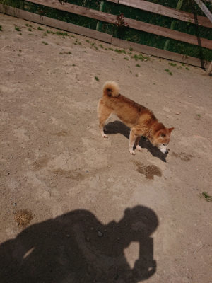 f:id:roukenhome-ann:20190512173530j:plain