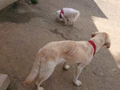 f:id:roukenhome-ann:20190512173549j:plain