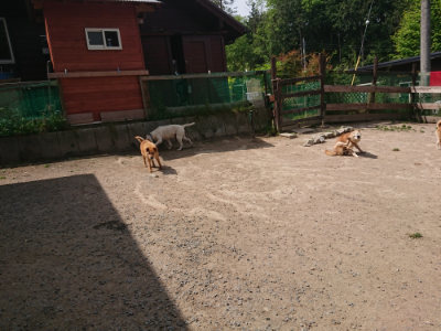 f:id:roukenhome-ann:20190512173607j:plain