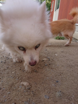f:id:roukenhome-ann:20190512173624j:plain