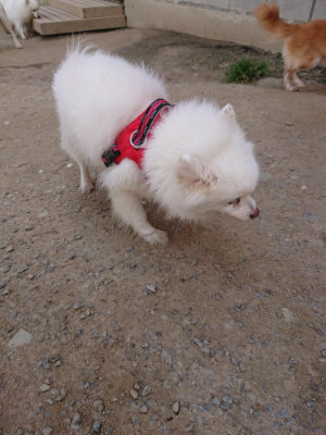 f:id:roukenhome-ann:20190512173639j:plain