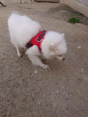 f:id:roukenhome-ann:20190512173646j:plain