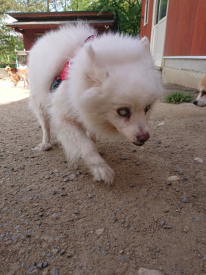 f:id:roukenhome-ann:20190512173651j:plain