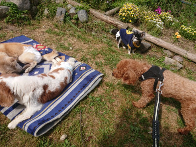 f:id:roukenhome-ann:20190512174927j:plain