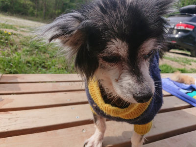 f:id:roukenhome-ann:20190512175513j:plain