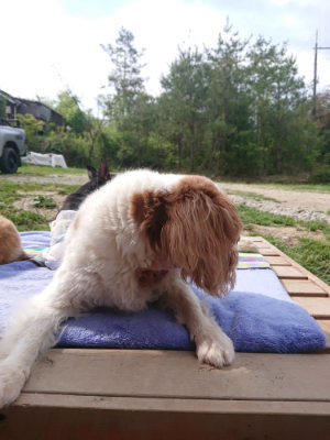 f:id:roukenhome-ann:20190512175627j:plain