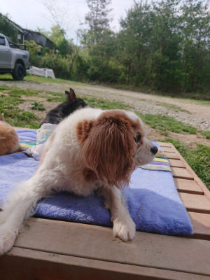 f:id:roukenhome-ann:20190512175631j:plain