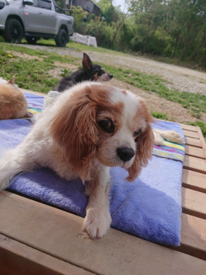 f:id:roukenhome-ann:20190512175636j:plain