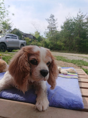 f:id:roukenhome-ann:20190512175643j:plain