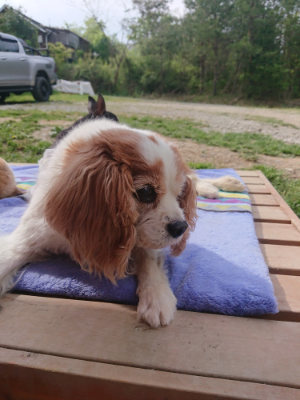 f:id:roukenhome-ann:20190512175650j:plain
