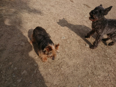 f:id:roukenhome-ann:20190512191625j:plain