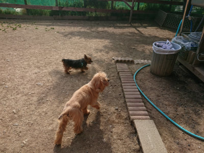 f:id:roukenhome-ann:20190512191630j:plain