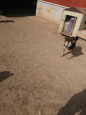 f:id:roukenhome-ann:20190512191641j:plain
