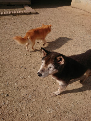f:id:roukenhome-ann:20190512191703j:plain