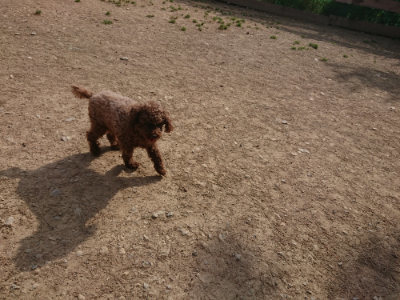 f:id:roukenhome-ann:20190512191724j:plain