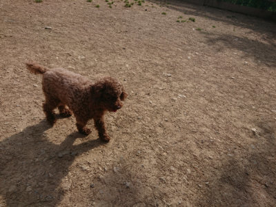 f:id:roukenhome-ann:20190512191733j:plain