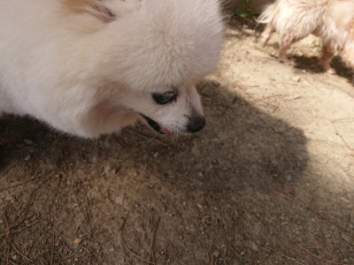 f:id:roukenhome-ann:20190512191801j:plain