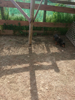 f:id:roukenhome-ann:20190512191806j:plain