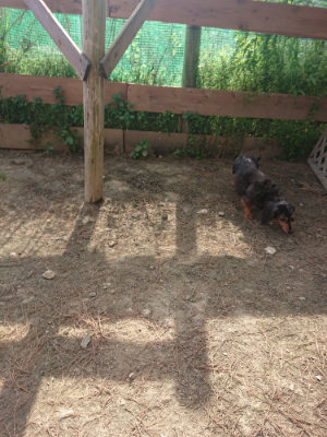 f:id:roukenhome-ann:20190512191829j:plain