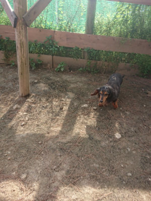 f:id:roukenhome-ann:20190512191848j:plain
