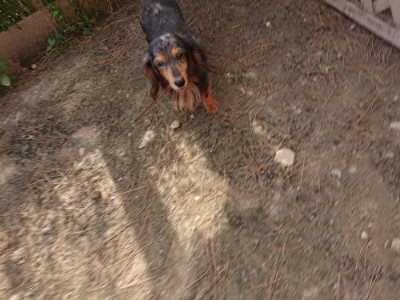f:id:roukenhome-ann:20190512191855j:plain