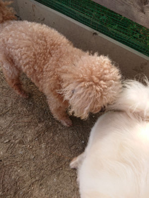 f:id:roukenhome-ann:20190512191905j:plain