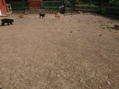 f:id:roukenhome-ann:20190512191923j:plain
