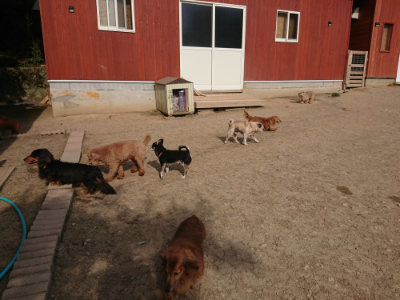 f:id:roukenhome-ann:20190512191931j:plain