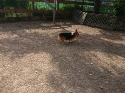 f:id:roukenhome-ann:20190512191945j:plain