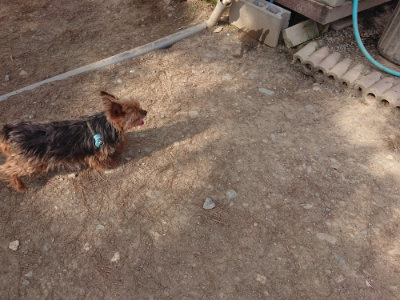 f:id:roukenhome-ann:20190512191951j:plain