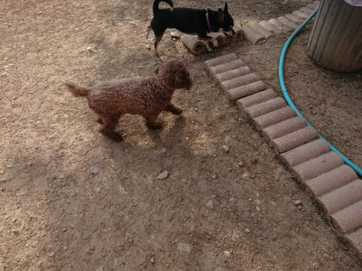 f:id:roukenhome-ann:20190512192001j:plain