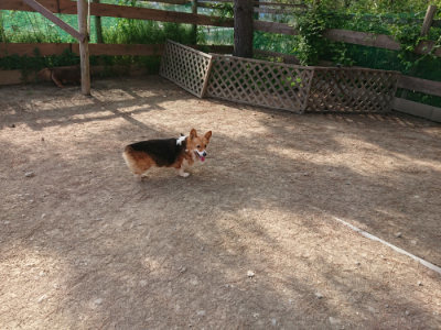 f:id:roukenhome-ann:20190512192013j:plain