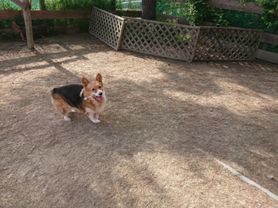 f:id:roukenhome-ann:20190512192028j:plain