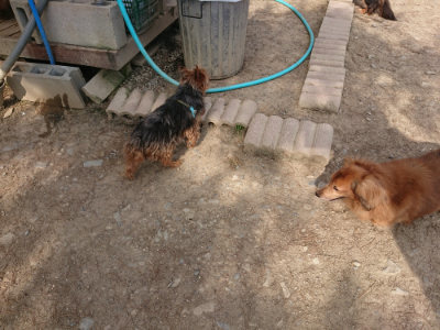 f:id:roukenhome-ann:20190512192039j:plain