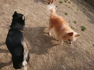 f:id:roukenhome-ann:20190512192050j:plain