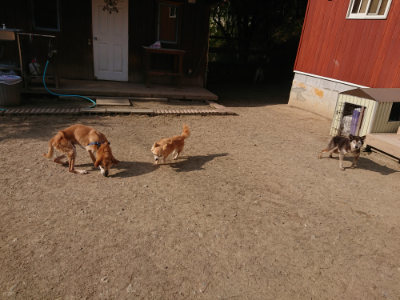f:id:roukenhome-ann:20190512192059j:plain