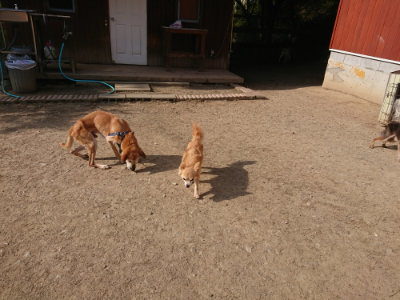 f:id:roukenhome-ann:20190512192118j:plain
